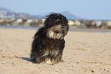LHASSA APSO 314